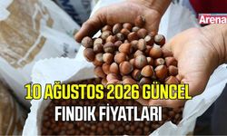 10 Ağustos 2026 güncel fındık fiyatları