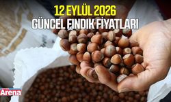 12 Eylül 2026 güncel fındık fiyatları