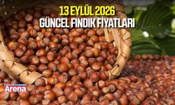 13 Eylül 2026 güncel fındık fiyatları
