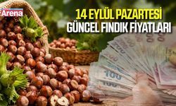 14 Eylül 2026 güncel fındık fiyatları