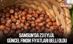 Samsun’da 23 Eylül güncel fındık fiyatları belli oldu