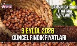 3 Eylül 2026 güncel fındık fiyatları