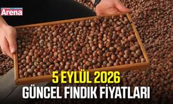 5 Eylül 2026 güncel fındık fiyatları