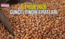 6 Eylül 2026 güncel fındık fiyatları