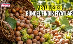 7 Eylül 2026 güncel fındık fiyatları