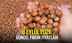 8 Eylül 2026 güncel fındık fiyatları