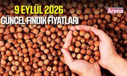 9 Eylül 2026 güncel fındık fiyatları