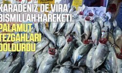 Karadeniz’de vira bismillah bereketi: Palamut tezgâhları doldurdu!