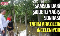 Samsun’daki şiddetli yağış sonrası tarım arazileri inceleniyor
