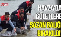Havza'da göletlere yavru sazan balığı bırakıldı!