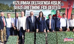 Bafra’da kışlık sebze üretimi için fide desteği