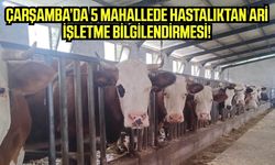 Çarşamba’da hayvancılara hastalıktan ari işletme !