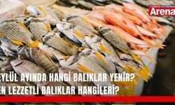 Eylül ayında hangi balıklar yenir? En lezzetli balıklar hangileri?