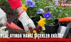 Eylül ayında hangi çiçekler ekilir?