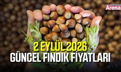 2 Eylül 2026 güncel fındık fiyatları