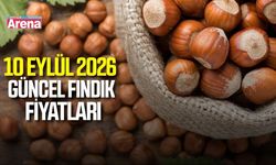 10 Eylül 2026 güncel fındık fiyatları