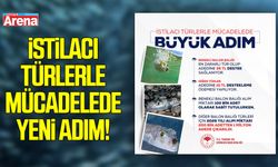 İstilacı türlerle mücadelede yeni adım! Balon balığı alım kotası 1 milyon adede çıkarıldı