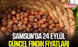 Samsun’da 24 Eylül güncel fındık fiyatları belli oldu