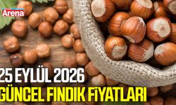 25 Eylül 2026 güncel fındık fiyatları