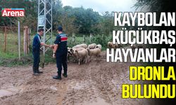 Samsun’da kaybolan küçükbaş hayvanlar dronla bulundu