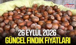 26 Eylül 2026 güncel fındık fiyatları