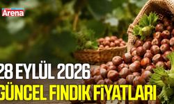 28 Eylül 2026 güncel fındık fiyatları