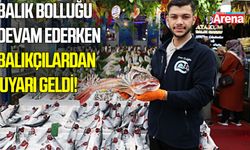 Samsun'da balık bolluğu devam ediyorken balıkçılar uyardı!
