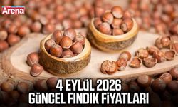 4 Eylül 2026 güncel fındık fiyatları