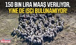 150 bin lira maaş veriliyor, yine de işçi bulunamıyor!