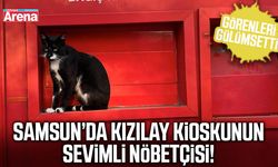 Samsun’da Kızılay kioskunun sevimli nöbetçisi!