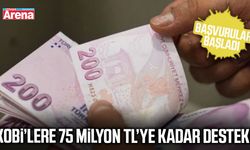 KOBİ’lere 75 milyon TL’ye kadar destek!
