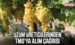 Üzüm üreticilerinden TMO’ya alım çağrısı