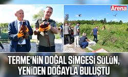 Terme'nin doğal simgesi sülün, yeniden doğayla buluştu