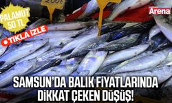 Samsun’da palamut bolluğu fiyatlara yansıdı