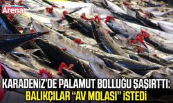 Karadeniz'de balıkçılar bol avlanan palamut için mola istiyor