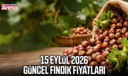 15 Eylül 2026 güncel fındık fiyatları