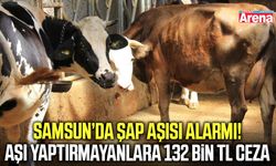 Samsun’da şap hastalığına karşı aşılama başladı
