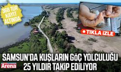 Samsun’da kuşların göç yolculuğu 25 yıldır takip ediliyor