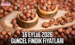 16 Eylül 2026 güncel fındık fiyatları