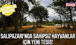 Salıpazarı'nda sahipsiz hayvanlar için yeni tesis!