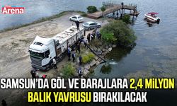 Samsun’da göl ve barajlara 2,4 milyon balık yavrusu bırakılacak