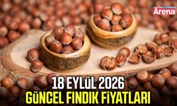 18 Eylül 2026 güncel fındık fiyatları