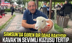 Samsun’da gönülleri fethetti! Kavak’ın maskotu Tertip