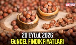 20 Eylül 2026 güncel fındık fiyatları