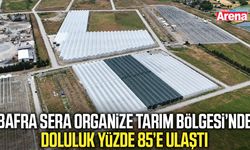 Bafra Sera Organize Tarım Bölgesi’nde doluluk yüzde 85’e ulaştı