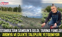İstanbul’dan Samsun’a geldi, tarıma yöneldi!