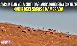 Samsun’dan yola çıktı, dağlarda karşısına çıktılar!