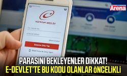 Parasını bekleyenler dikkat! E-Devlet’te bu kodu olanlar öncelikli
