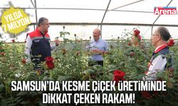 Samsun’da kesme çiçek üretiminde dikkat çeken rakam!