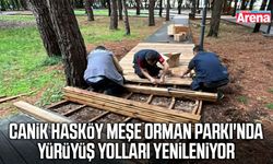 Canik'te Hasköy Meşe Orman Parkı'na bakım
